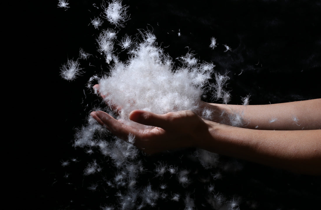 Down warmest materials fluffy feature trap heat maintain good ventilation extremely lightweight packable source 700 800 fill power certified IDFL environmental standards sleeping bag jis 90/10 litume safe litume