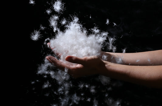 Down warmest materials fluffy feature trap heat maintain good ventilation extremely lightweight packable source 700 800 fill power certified IDFL environmental standards sleeping bag jis 90/10 litume safe litume